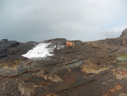 26194956504_eab0df9cdf_k