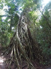 26706715942_0c277b2ce1_k