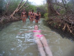 26733062371_578032cf3f_k