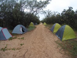 26775411756_d7caf22199_k