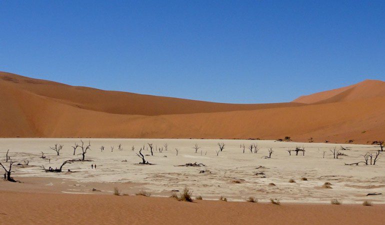 The Namib Desert