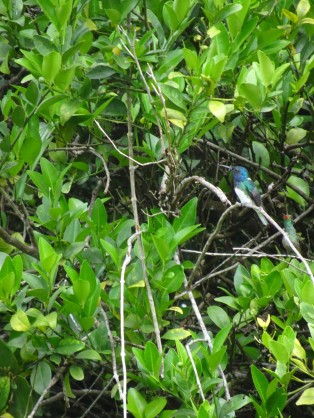 DSC03743 - Version 2