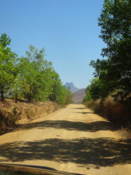 DSC07930
