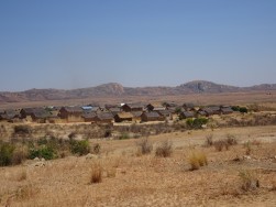 DSC07985