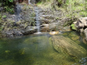 DSC08370