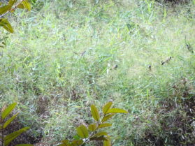 DSC08430