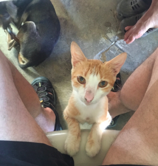 Screen Shot 2016-06-21 at 01.04.07