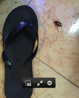 Screen Shot 2016-06-21 at 01.05.03